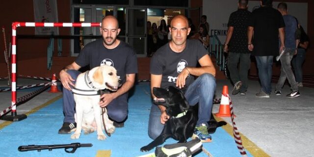 Μια διαδρομή με έναν σκύλο οδηγό