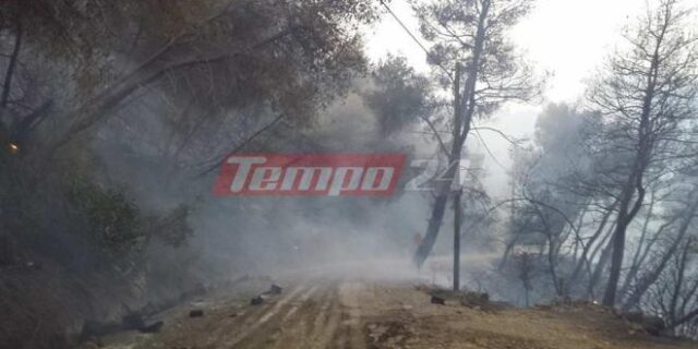 Αχαΐα: Κάηκε σπίτι στην Άρλα – Οριοθετήθηκε η πυρκαγιά
