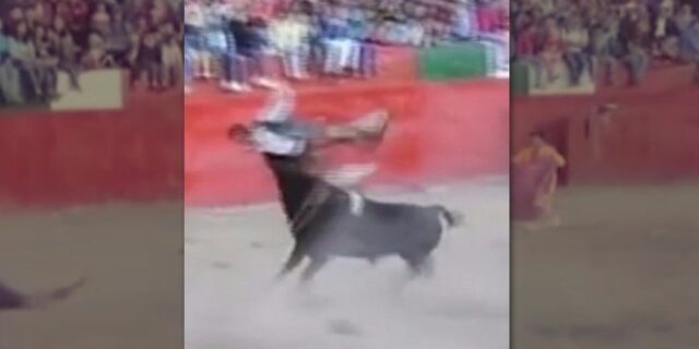 Ταύρος μαινόμενος εκτοξεύει ταυρομάχο στον αέρα
