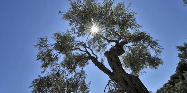 Αίθριος καιρός και άνοδος της θερμοκρασίας