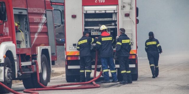 Οριοθετήθηκε η φωτιά στο Πολυδένδρι