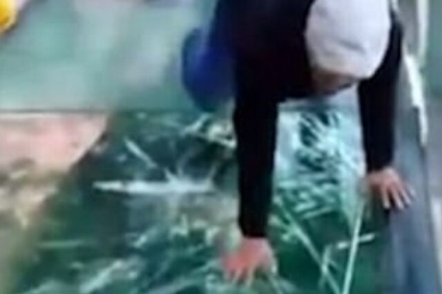 Τρόμος σε άλλο επίπεδο: Όταν ‘σπάει’ γυάλινη γέφυρα κάτω από τα πόδια σου