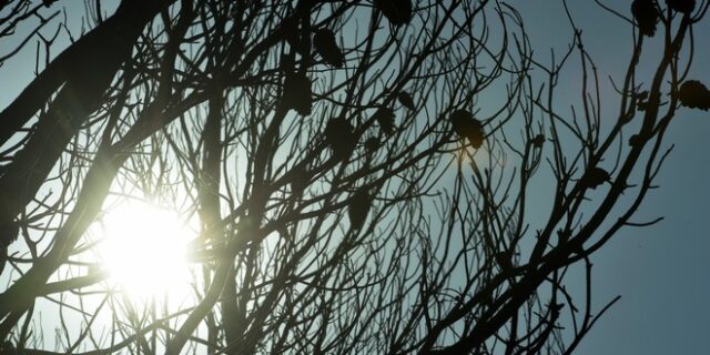 Αίθριος καιρός και βοριάδες