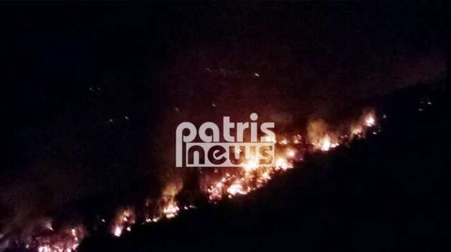 Ηλεία: Ολονύχτια μάχη με τις φλόγες στη Νεμούτα – Παραλίγο να καεί ζωντανός 52χρονος