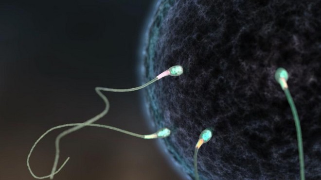 Χάρη στο Star Wars οι επιστήμονες ανακάλυψαν ένα κρυμμένο μυστικό για το… σπέρμα