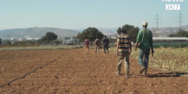 Στα χωράφια του Ασπροπύργου