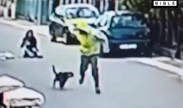 Βίντεο: Αδέσποτος σκύλος σώζει γυναίκα από θρασύτατο ληστή