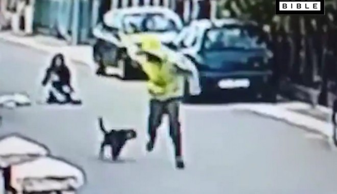 Βίντεο: Αδέσποτος σκύλος σώζει γυναίκα από θρασύτατο ληστή