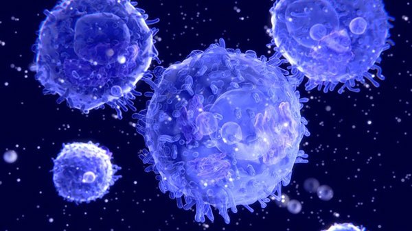 Επαναστατικό ‘εμβόλιο’ για τον καρκίνο εξαφανίζει όγκους και μεταστάσεις
