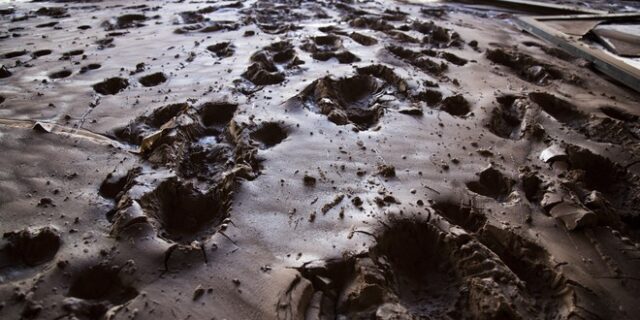 Μάνδρα: Βρέθηκε νεκρός ο τελευταίος αγνοούμενος