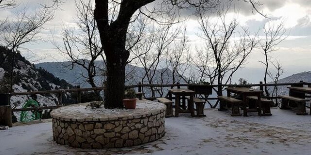 ‘Άσπρη μέρα’ στην Αττική: Χιόνισε στην Πάρνηθα