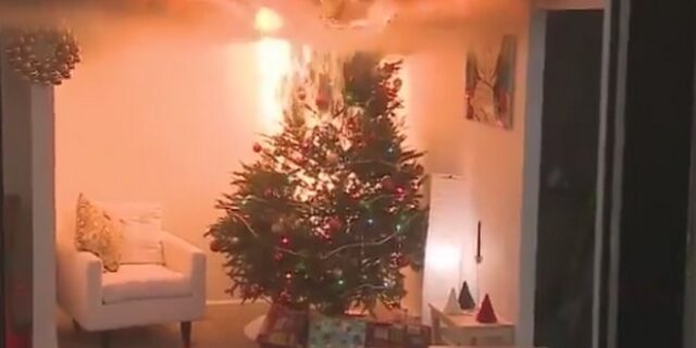 Τα όμορφα χριστουγεννιάτικα δέντρα, όμορφα καίγονται