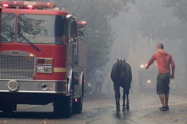 Καλιφόρνια: Ελευθέρωσαν εκατοντάδες άλογα κούρσας για να γλιτώσουν απ’ τις φλόγες
