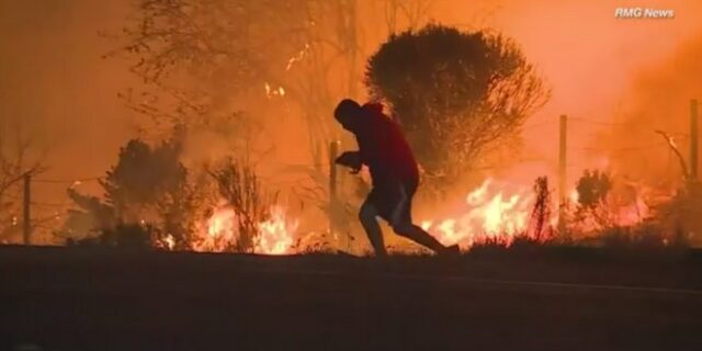 Καλιφόρνια: Έβαλε σε κίνδυνο τη ζωή του για να σώσει ένα κουνέλι από την πύρινη κόλαση
