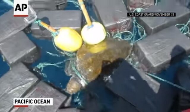 Θαλάσσια χελώνα ‘μετέφερε’ κοκαΐνη αξίας 53 εκατ. δολαρίων