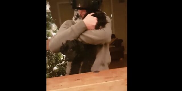 Θα κλαίτε από τα γέλια όταν δείτε πως αντιδρά στο VR βίντεο