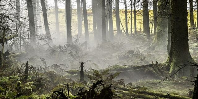 Οι ικανότητες του βρετανικού στρατού στο καμουφλάζ: Μπορείς να βρεις τον στρατιώτη;