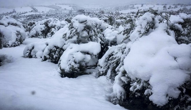 Χριστούγεννα με κρύο: Χιόνια και στα νησιά του Αιγαίου και την Κρήτη