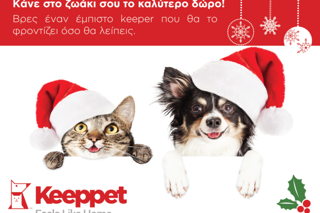 Φέτος τα Χριστούγεννα, και τα κατοικίδια θα κάνουν διακοπές!