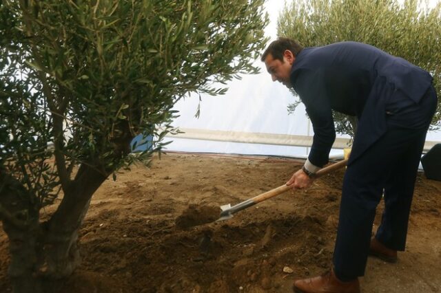 Τσίπρας και Ρίβλιν φύτεψαν δέντρα ελιάς στο Μουσείο Ολοκαυτώματος