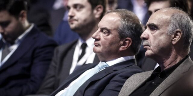 Τα αιχμηρά σχόλια Μεϊμαράκη για τις σέλφι και τους πολιτικούς που νιώθουν Ευρωπαίοι