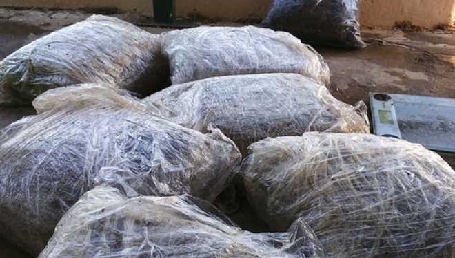Αχαΐα: Η θάλασσα ξέβρασε 28 κιλά χασίς στη Λακκόπετρα