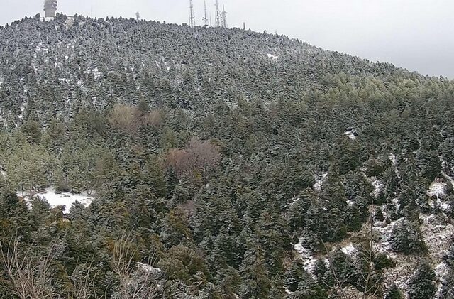 Χιονίζει στην Πάρνηθα – Εικόνες απ’ το Μπάφι