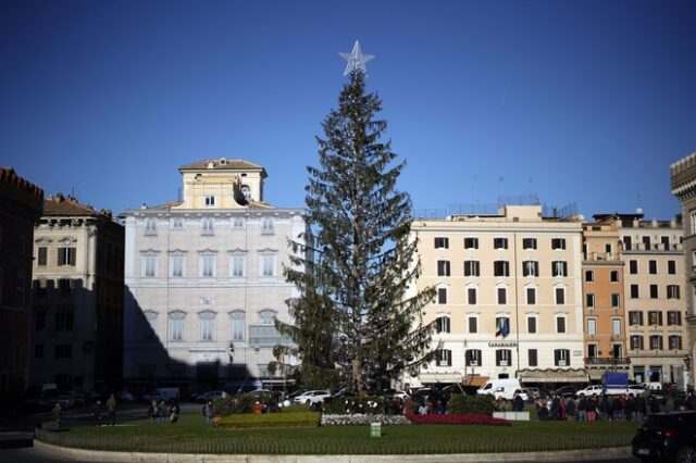 Ρώμη: Το ‘μαδημένο δέντρο’ πάει μουσείο