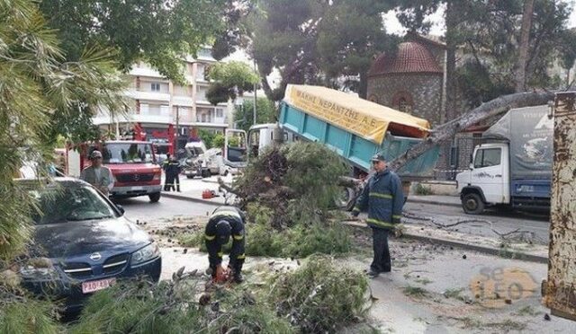 Θυελλώδεις άνεμοι στη Θεσσαλονίκη: Έπεσαν δέντρα – Προβλήματα σε μετακινήσεις, ηλεκτροδότηση