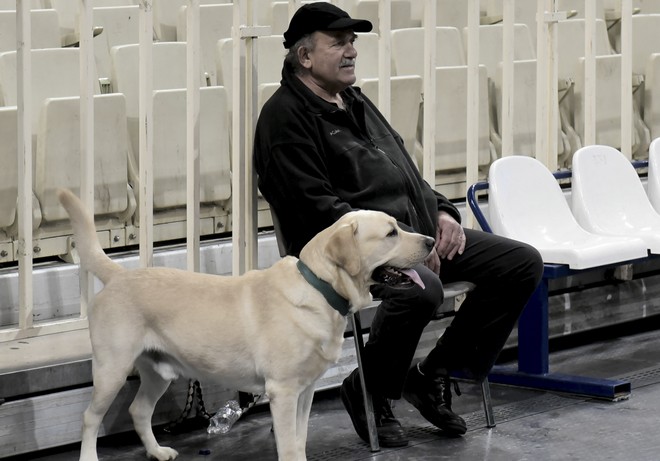 Μην ταΐζετε ωμό κρέας τα κατοικίδια