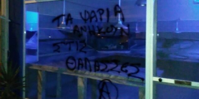 Ιωάννινα: Επιθέσεις αντισπισιστών σε κρεοπωλεία και ιχθυοπωλείο
