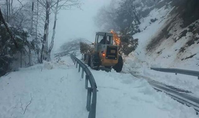 Προβλήματα από την κακοκαιρία – Πού έκλεισαν σχολεία και δρόμοι