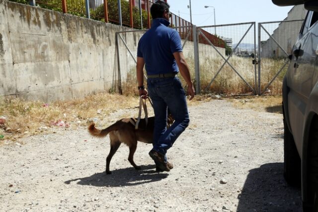 Πάτρα: Ο ‘Ρίκι’ εντόπισε έναν ακόμα έμπορο ναρκωτικών
