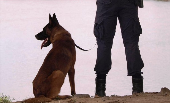 Ο συγκινητικός αποχαιρετισμός της ΕΛ.ΑΣ. στον αστυνομικό σκύλο Satan