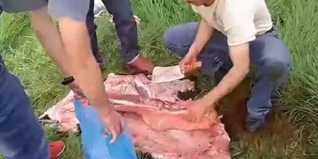 Λέσβος: Τα news ήταν fake, ο ρατσισμός πραγματικός