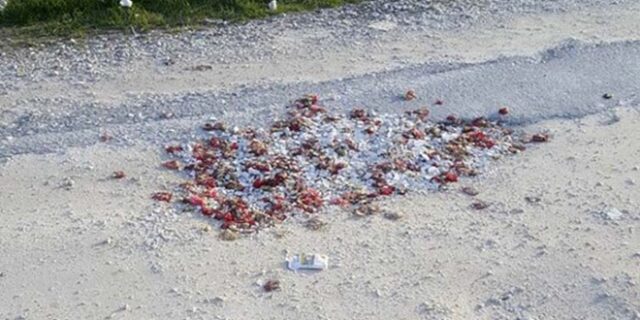 Απίστευτο: ‘Μπάλωσαν’ λακκούβες με σπασμένα πιάτα και γαρύφαλλα από μπουζουξίδικο στη Λάρισα