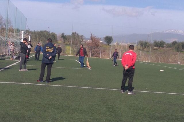 Αχαΐα: Πυροβόλησαν και σκότωσαν σκυλιά σε γήπεδο ποδοσφαίρου