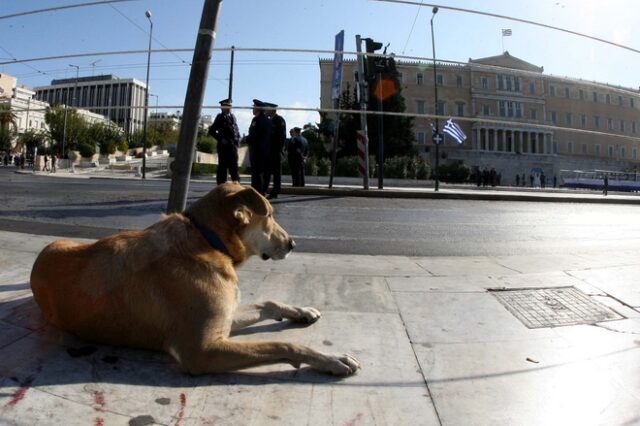 Αποσύρεται το νομοσχέδιο για τα κατοικίδια