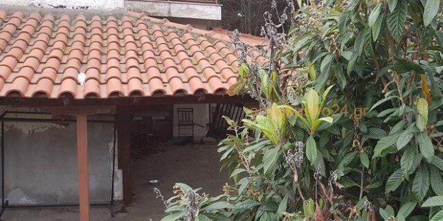 Απαγωγή στη Θεσσαλονίκη: Το σατανικό σχέδιο, ο ρόλος της κόρης και της μυστηριώδους Ρωσίδας