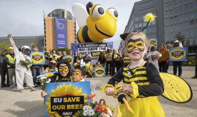 Απαγόρευση της χρήσης χημικών που βλάπτουν τις μέλισσες αποφάσισε η ΕΕ