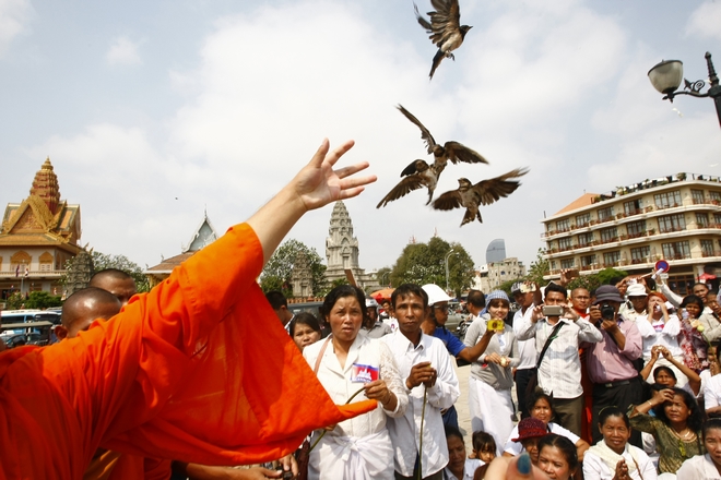 Καμπότζη: 7.000 σπάνια πουλιά απειλούμενων ειδών γεννήθηκαν με ασφάλεια