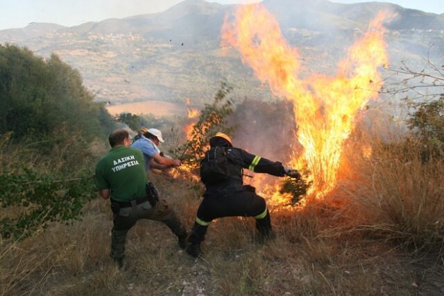 Ηλεία: Σε χαράδρα μαίνεται η πυρκαγιά – Σηκώθηκαν δύο καναντέρ