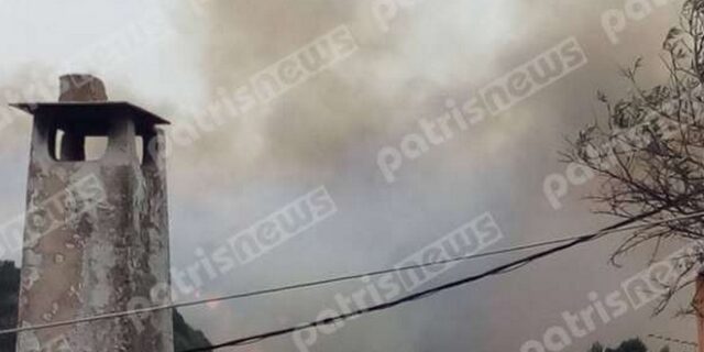 Ηλεία: Μεγάλη πυρκαγιά στη Φρίξα Κρεστένων