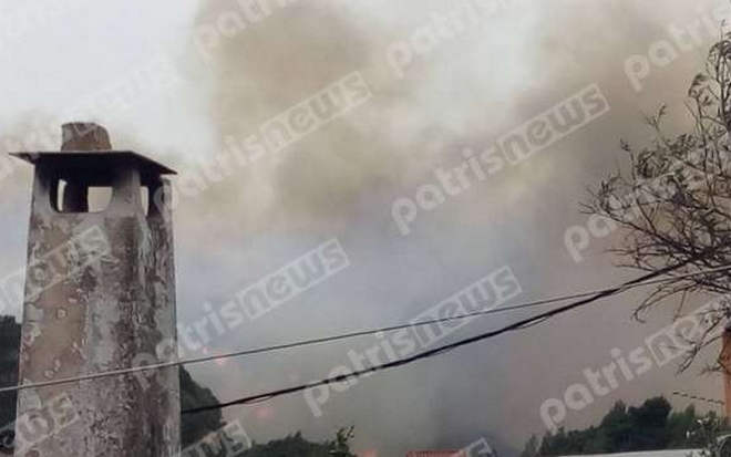 Ηλεία: Μεγάλη πυρκαγιά στη Φρίξα Κρεστένων