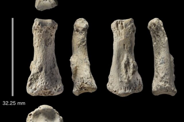 Βρέθηκε το αρχαιότερο εκτός Αφρικής απολίθωμα Homo sapiens