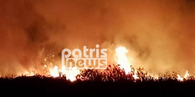 Ηλεία: Σε τρία μέτωπα η φωτιά στην Φρίξα – Προληπτικά μέτρα στην Αρχαία Ολυμπία