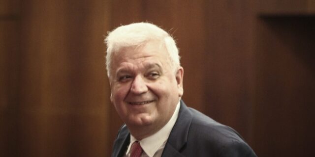 Πρωτόπαπας: Η Ελλάδα πρέπει να πείσει την Ε.Ε. ότι στέκεται στα πόδια της