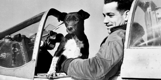 Ο σκύλος που “έγραψε” ατέλειωτες ώρες πτήσης στον πόλεμο της Κορέας