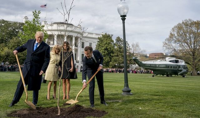 Τι απέγινε το δέντρο που φύτεψαν Τραμπ και Μακρόν;