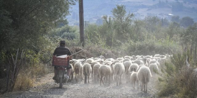 Ξεβλάχεμα: Μια ευγενική προσφορά του χρεοκοπημένου εκδότη